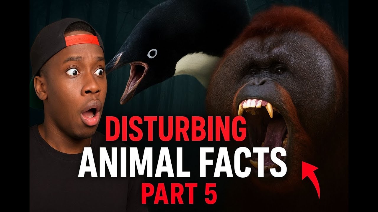 Disturbing animal facts compilation Part 5