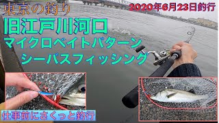 初夏の東京湾奥河川でシーバスのルアー釣り！旧江戸川河口マイクロベイトパターン釣行【2020年東京の釣り】