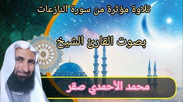 تلاوة مؤثرة من سورة النازعات بصوت القارئ الشيخ محمد الأحمدي صقر