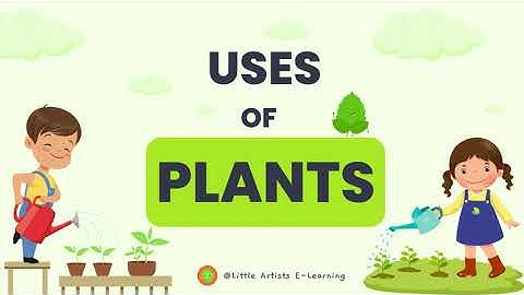 USE OF PLANTS / EVS for kids/ class1 class2 class3