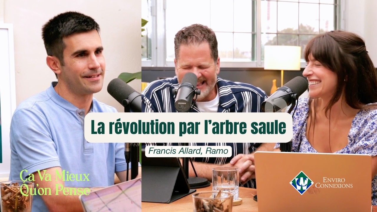 CVMQP #62 Francis Allard, Ramo : La révolution avec l'arbre saule