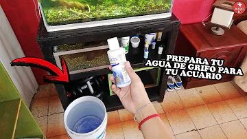 ¿Cómo preparar el agua para los peces?