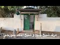 ديوانه اكرم سۆرجي و مرقد شيخ محمد سورجي له مزاري بجيلي لايك و اشتراك بالقناة 