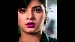 Dil Cheer Ke Dekh Female Song | Rang | Divya Bharti | Alka Yagnik