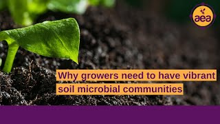 Why growers need to have vibrant soil microbial communities | Regenerative Agriculture | John Kempf