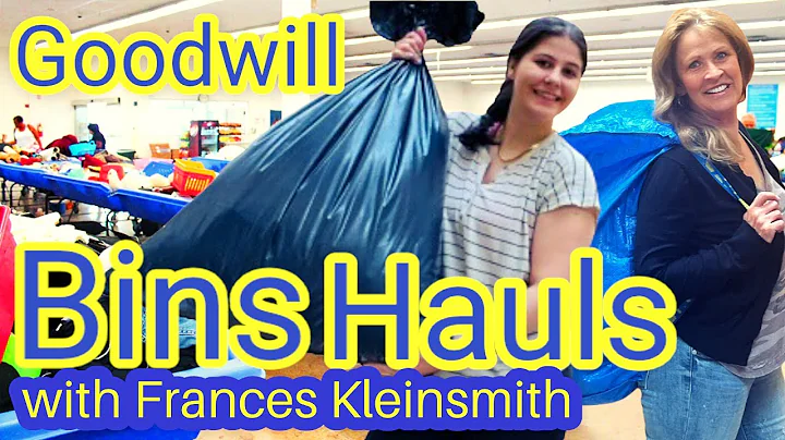 Goodwill Bins Haul Collaboration with Frances Klei...