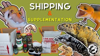 Shipping & Supplementation: Why YOU Should Bee Using Bee Pollen for Your Reptiles