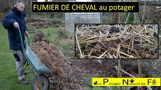 Utilisation du fumier de cheval frais au potager