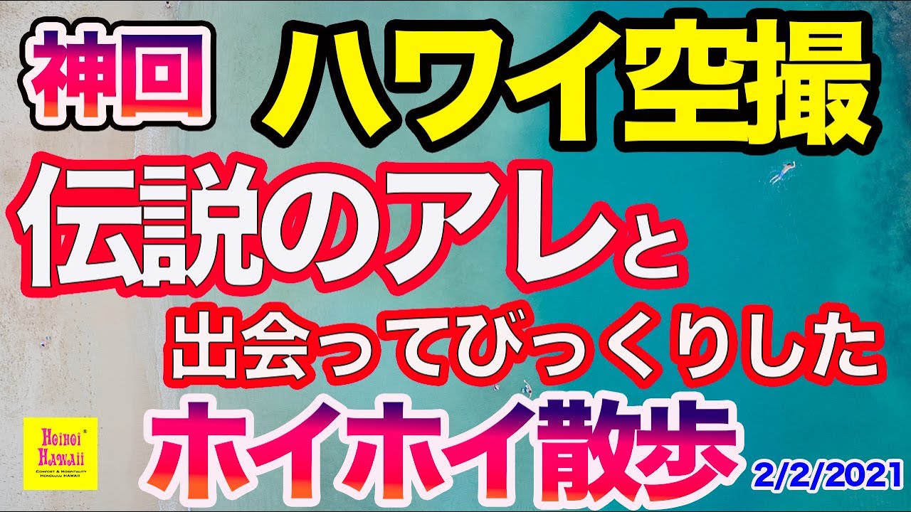 ハワイ写真家 Yasuと紋次郎の秘密基地 Campfireコミュニティ