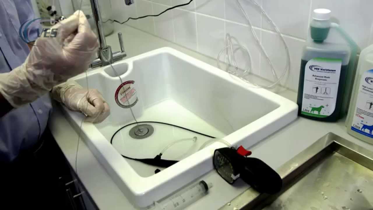 VES Veterinary Bronchoscope Leak test, Cleaning and Disinfection.
