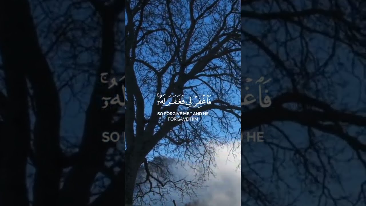 القران الكريم خلفية الشاشة#القران_الكريم #القران_الكريم_راحه_نفسية #اسلام_صبحي