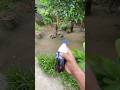 এই পদ্ধতিতে কোল্ড ড্রিংকস কে সাদা জলে পরিণত করতে পারব 😱mini vlog #minivlog #vlog #banglavlog