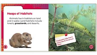 Animal Habitats by Julie K. Lundgren Read Aloud