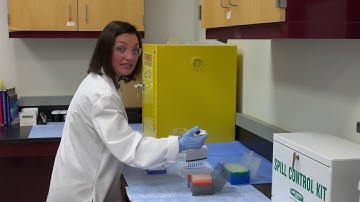 Intro to Multi-channel Pipetting