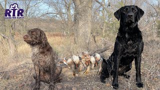 Quick Hunt Before Airport - Kansas Duck Hunting 2021