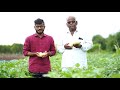 सेंद्रिय शेतीसाठी ही टेक्नॉलॉजी वापरा व भरपूर उत्पन्न मिळवा | Organic farming success in Maharashtra
