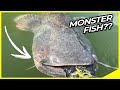 GIANT Catfish Strike🔥🤯! Don't lose the rod😃. Vertical fishing for catfish from the boat!