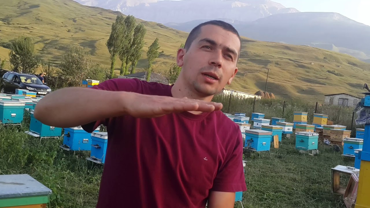 Qusarda Aladaş kəndi yaxınlığında arıxana.