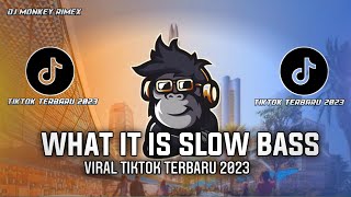 DJ WHAT IT IS SLOW BASS VIRAL TIKTOK 2023