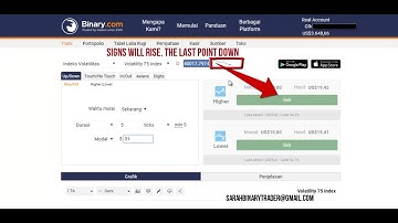 binary com tricks, rise fall strategy, 100% accuracy, Profit $3000 / 2 minutes