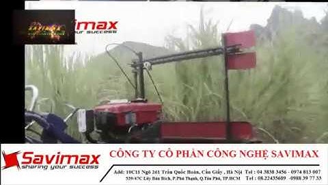 Máy cắt cỏ voi xếp dãy - 0974 813 007