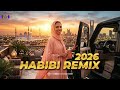 Silver Wind – Habibi Deep House 💨 Arabic Desert Vibes