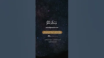 وآتاكم من كل ما سألتموه سورة ابراهيم الآيات 32 34 القارئ أحمد النفيس 