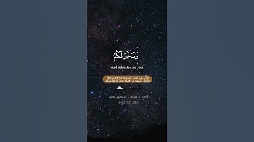 " وآتاكم من كل ما سألتموه "  || سورة ابراهيم  الآيات [ 32 - 34 ] ~ القارئ أحمد النفيس