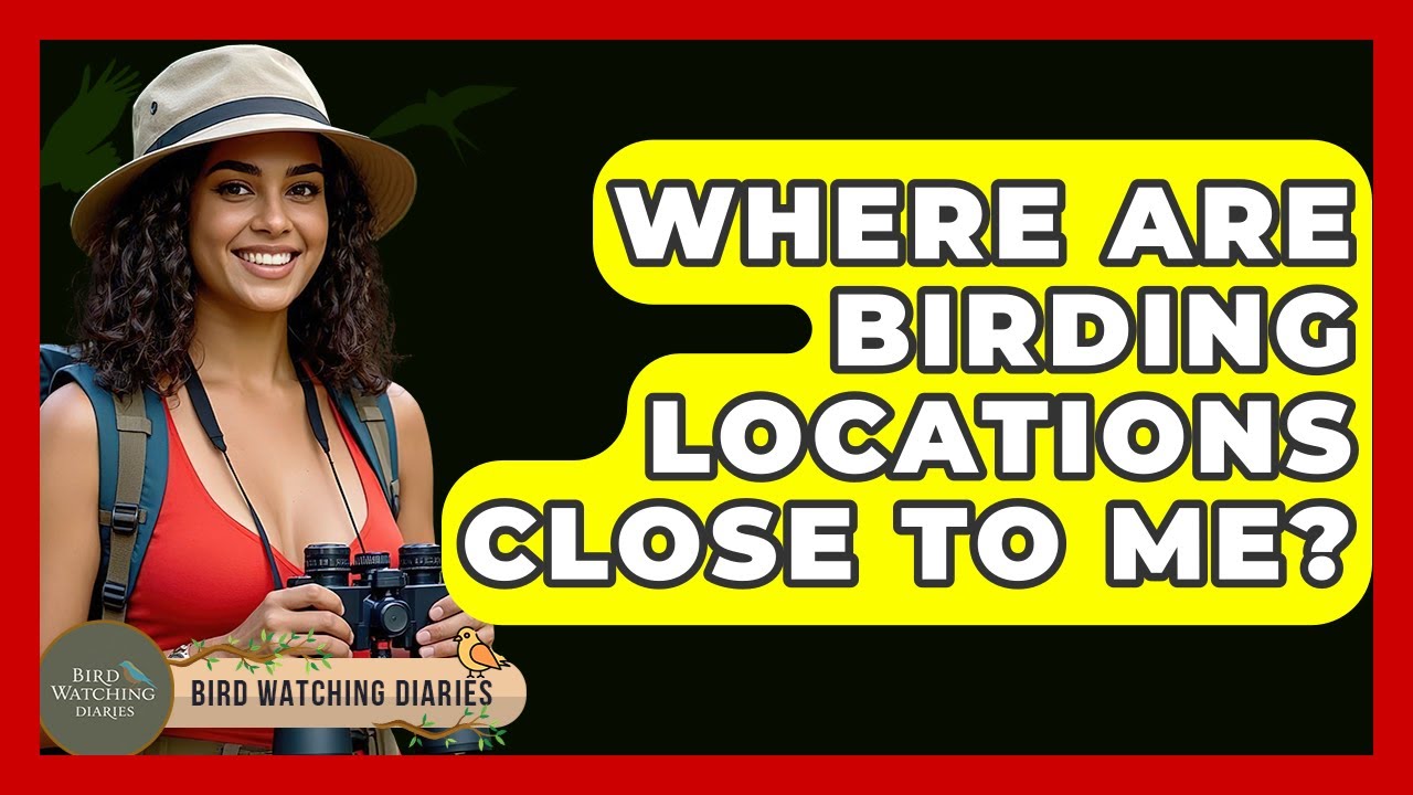 Where Are Birding Locations Close To Me? - Bird Watching Diaries