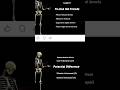Muscles of Gluteal region and lower limb #anatomy #followforfollowback #doctor #humananatomy #bones
