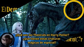 ¿Qué son los Thestrals? | Harry Potter Explicado | Harry Potter |