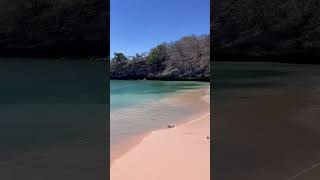 Pink Beach in Lombok. #pinkbeach #lombok #indonesia #travellingindonesia