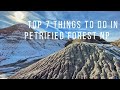 Petrified Forest National Park - seven unique locations in the Painted Desert!