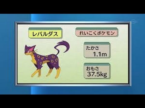 ベストコレクション Oras ボーマンダ ポケモンの壁紙