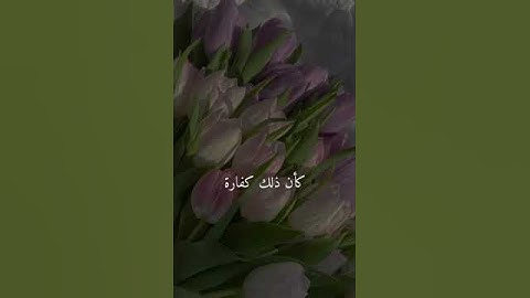 فضل قراءة سوره الكهف الشيخ سعد العتيق