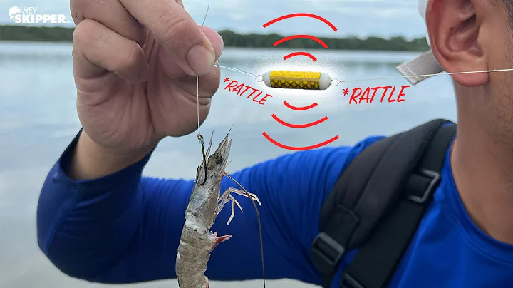 Does NOISE attract more fish? Testing RATTLING Sin...