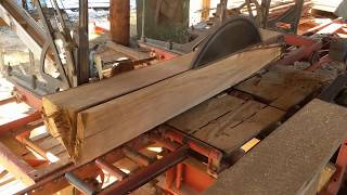 Milling 105 year old hickory tree with Antique Frick sawmill