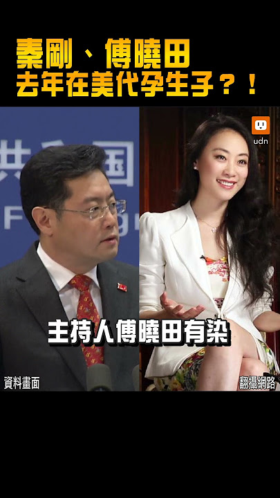 【國際】金融時報：秦剛、傅曉田 去年在美代孕生子
