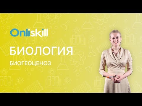 Биология 7 класс: Биогеоценоз