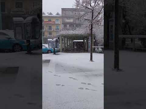 Φλώρινα: Έντονη χιονόπτωση στην πόλη (video)