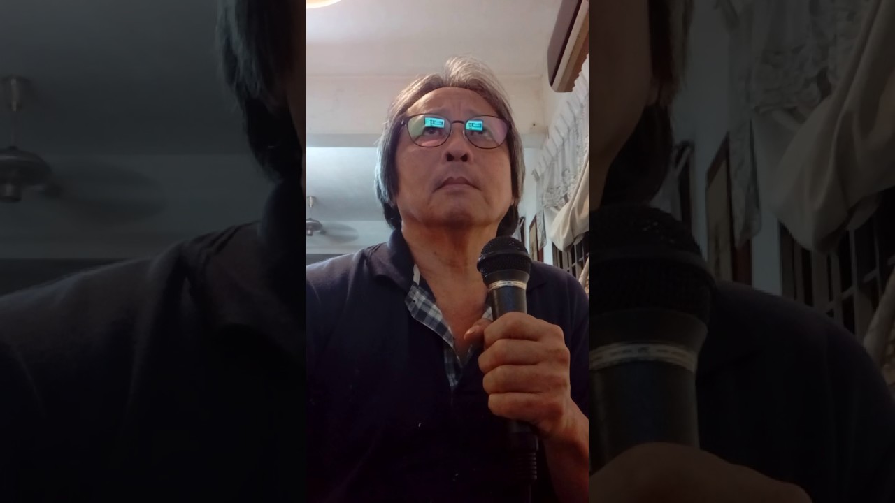 Someday Ricky Nelson cover