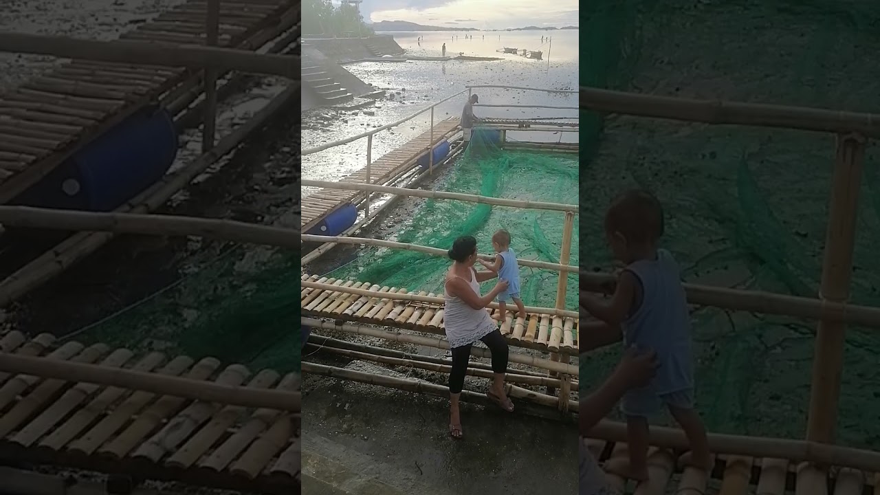 How to Fix fishnet for floating Milkfish(Bangus) fishcage. Paano ilagay ang lambat sa fishcage..