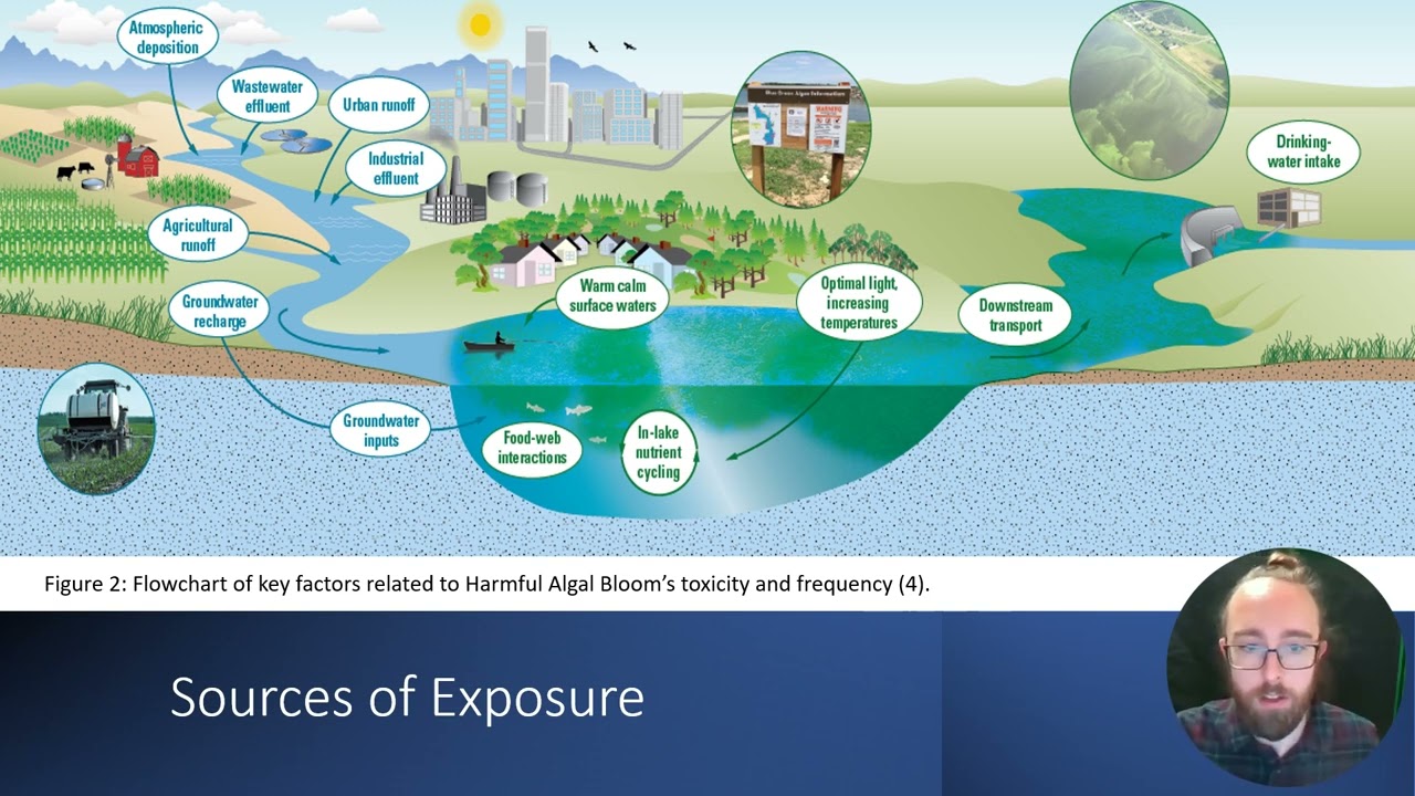 Blan Microcystin Presentation
