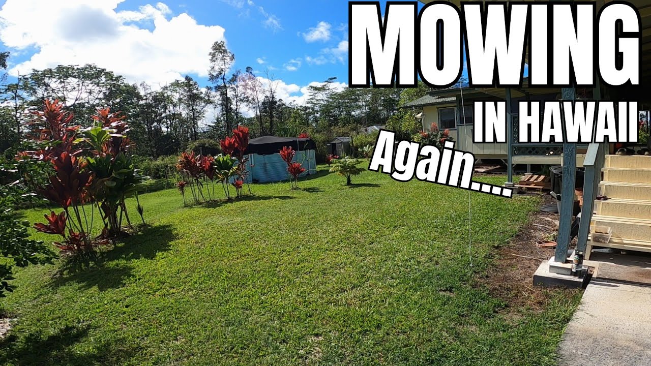 Mowing an Overgrown Hawaii Lawn After Weeks of Rain  Satisfying Time Lapse