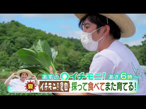 【HTB公式】イチモニ！番宣