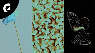 Anders Schill Paulsen - Triptych I — Reaching Net Worth