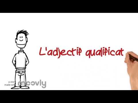 Les adjectifs qualificatifs : rôle et fonctions - YouTube