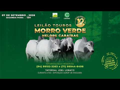 LOTE 21