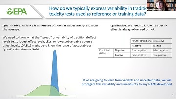 Using NAMs in Risk Assessment (September 2022)