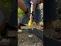 How to Get a Clean Edging Line Every Time 🌿🛠️